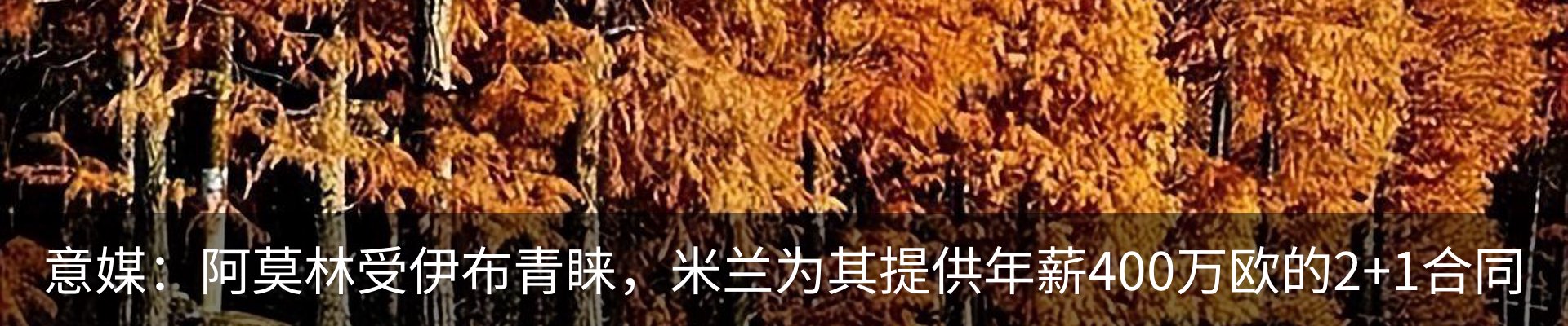 新闻中心